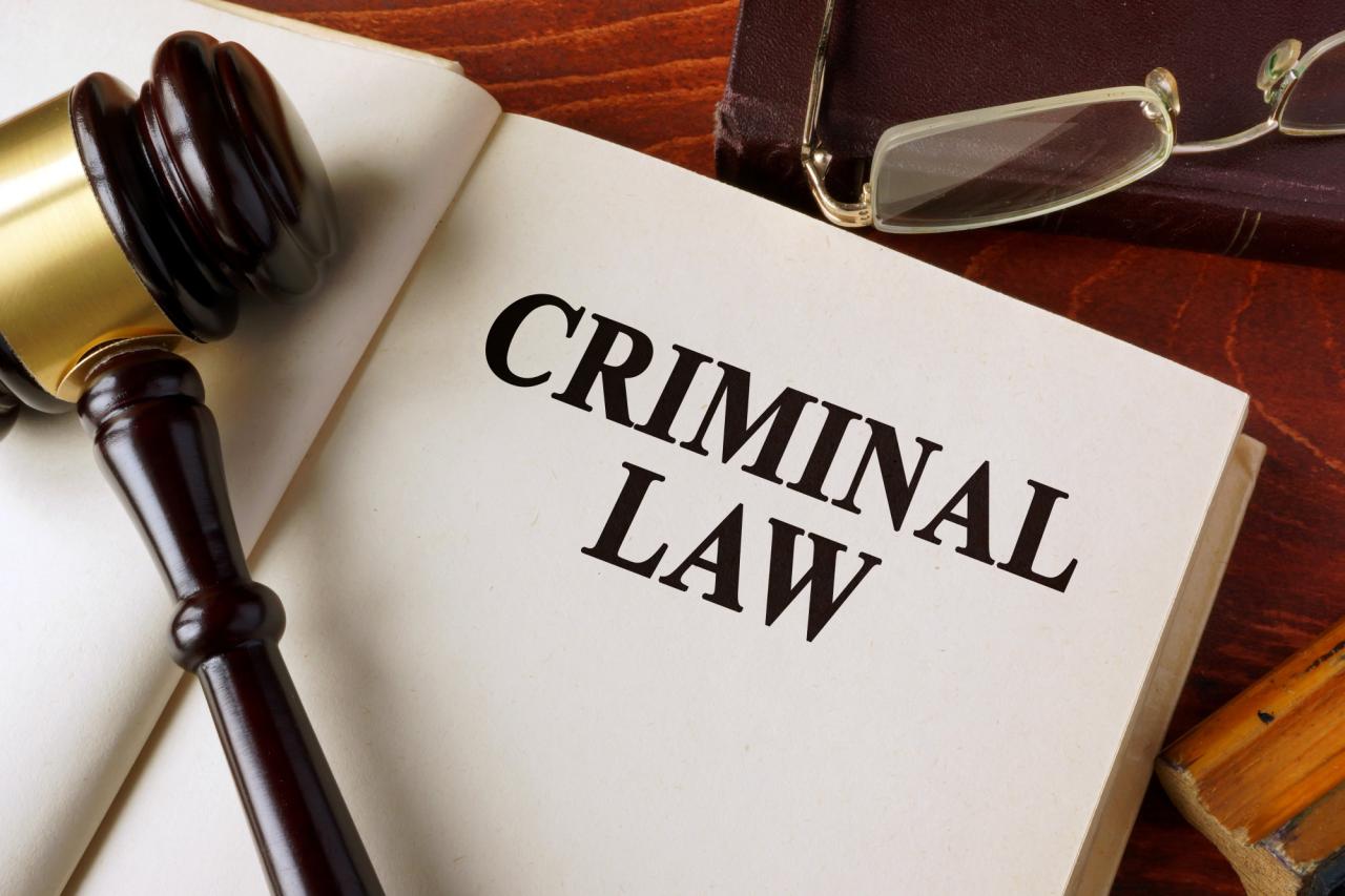 criminal defense lawyer